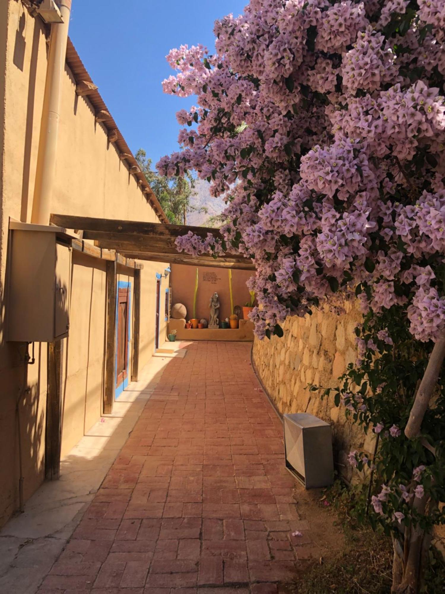 Cabanas Elquimista Pisco Elqui Exterior photo